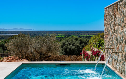 Luxury terraced house with pool in Ses Salinas
